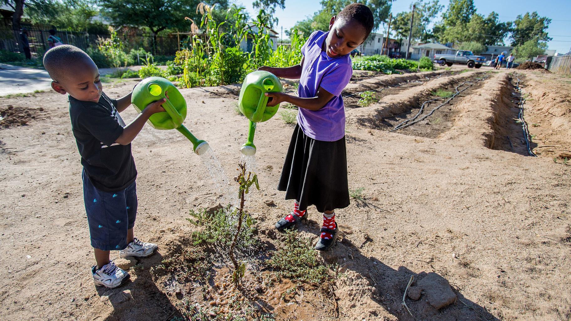 Gardening central to refugees building a new life in Tucson